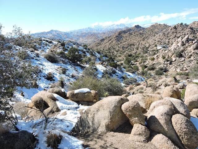 6030 Acoma Terrace Trail - 照片1