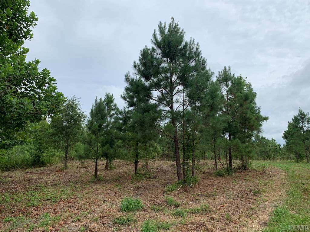 Lot 4 Wren Drive - Photo 1