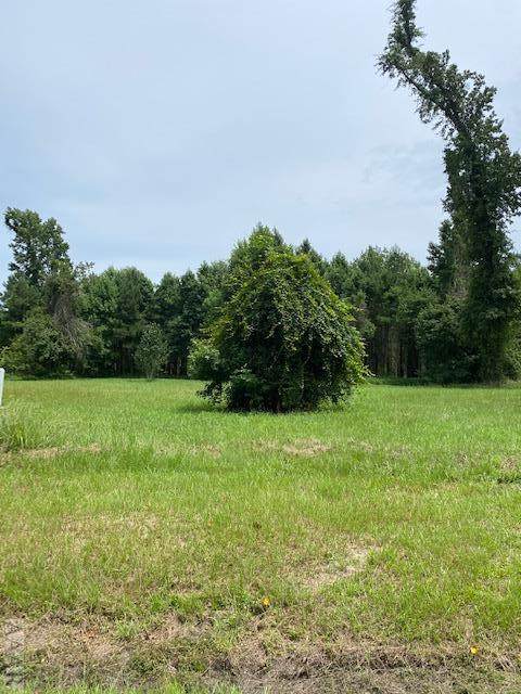 TBD Sterling Colson Way - Photo 1