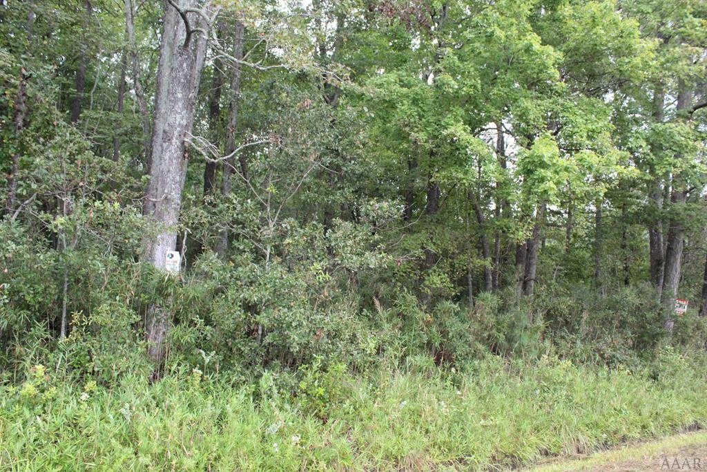 tbd Poplar Neck Road - Photo 1