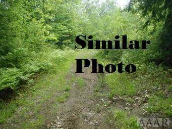 0 Marigold Road - Photo 1