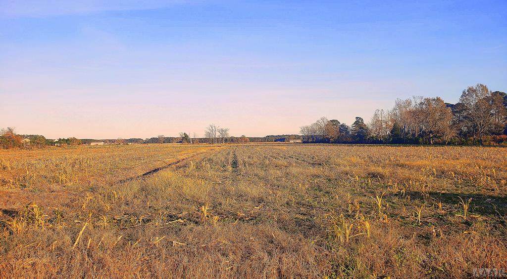 000 Newland Road - Photo 1