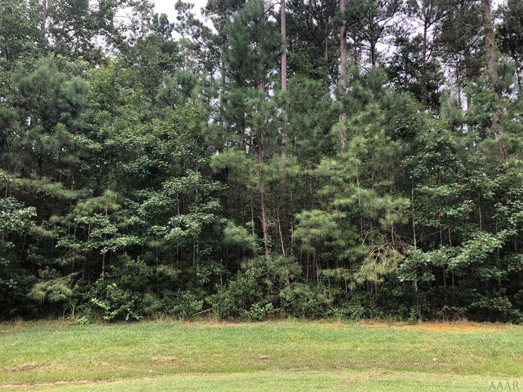 TBD Meherrin River Drive - Photo 1