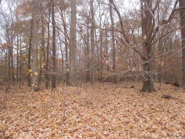 131 Camp Perry Road - Photo 1