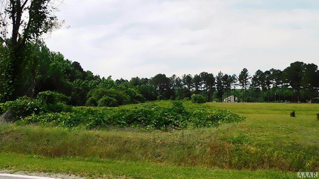 TBD Liverman Mill Rd - Photo 1