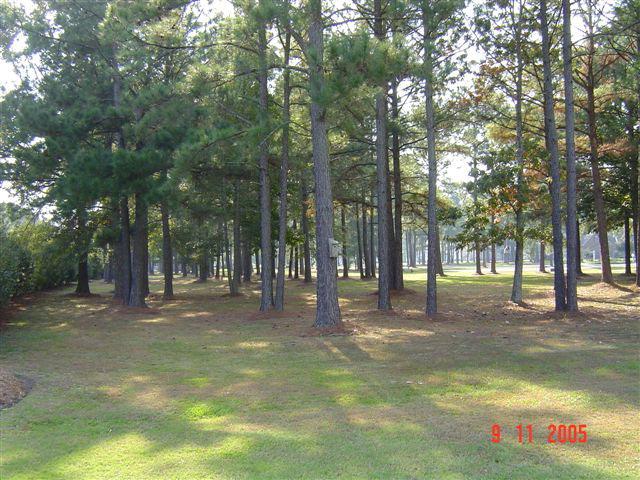 38 Waccamaw Drive - Photo 1