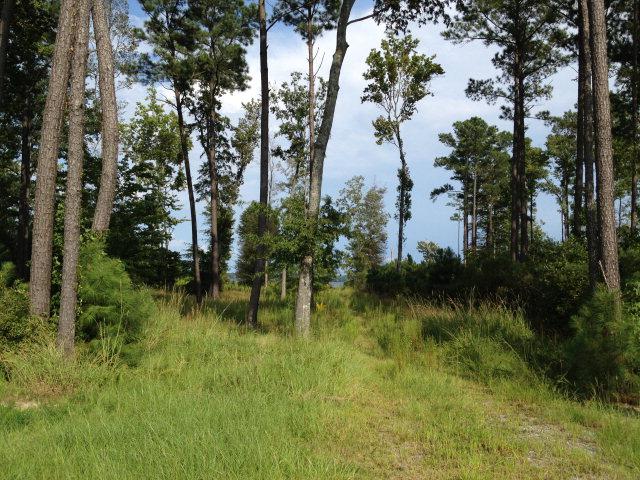 134 Dockery Drive - Photo 1