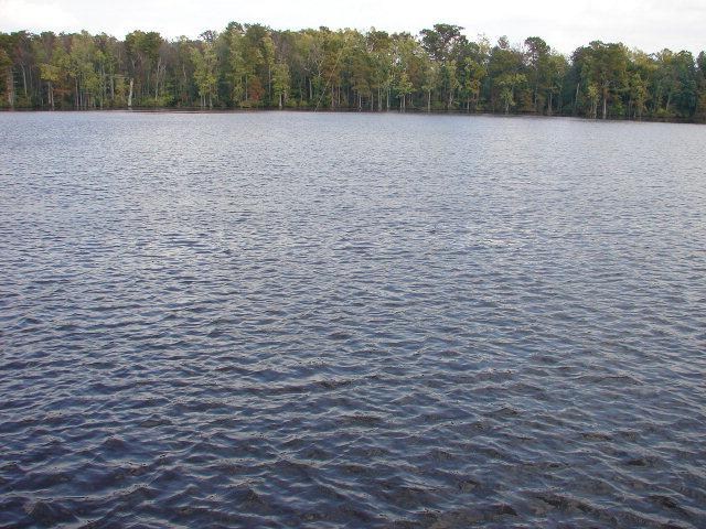 TBD River Bluff Drive - Photo 1