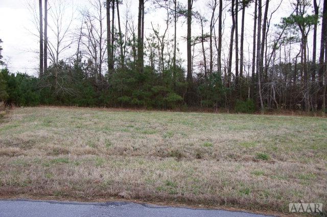 103 Blimp View Drive - Photo 1