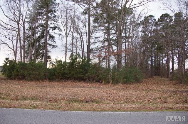 101 Blimp View Drive - Photo 1