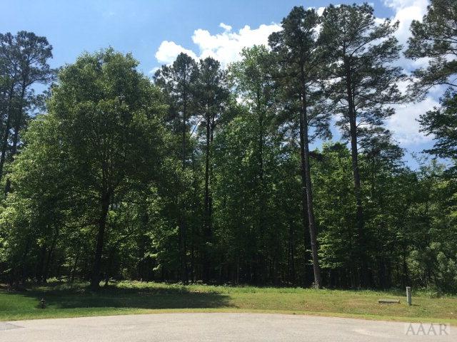 TBD Potecasi Creek Court - Photo 1