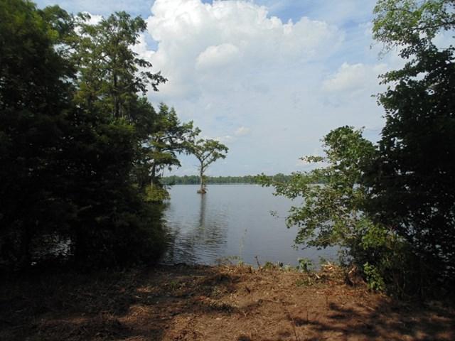 TBD Swains Mill Road - Photo 1