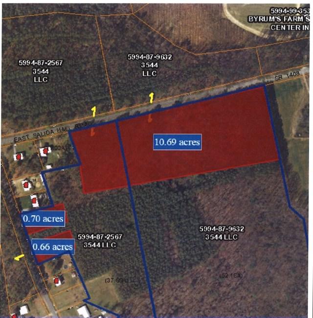 tbd Saluda Hall Road - Photo 1