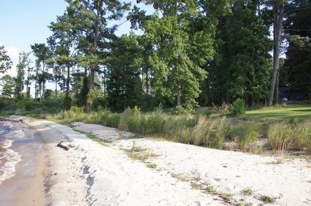 000 Small Drive - Photo 1