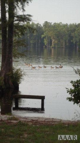 TBD Tuscarora Beach Road - Photo 1