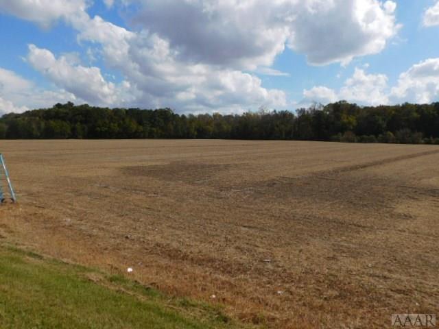 00 Halstead Blvd Extd - Photo 1