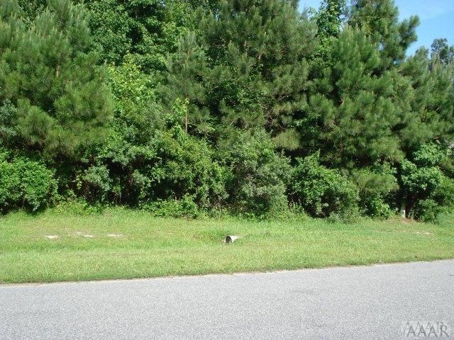 160 Raymons Creek Road - Photo 1