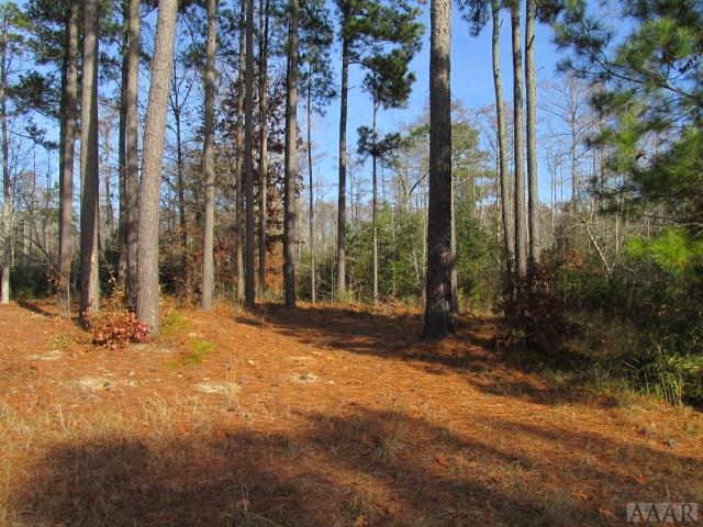 Lot 38 Robert Court - Photo 1