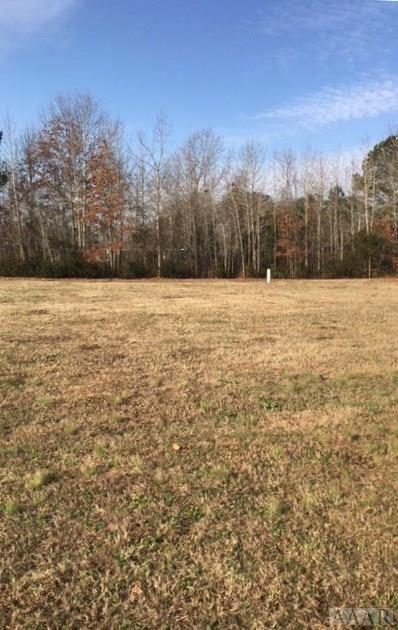 117 Spoonbill Loop - Photo 1