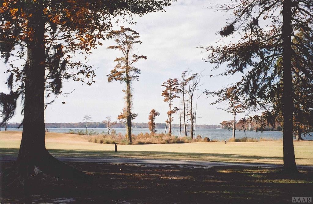 TBD Perquimans Court - Photo 1