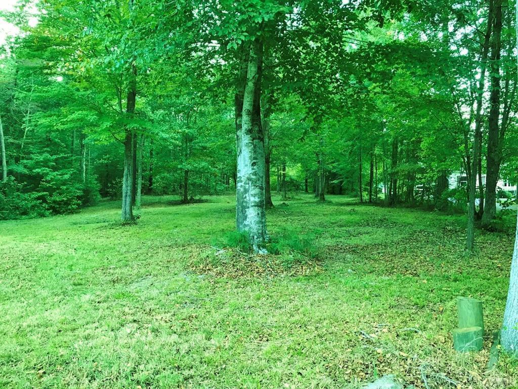 Lot 8 See View Lane - Photo 1