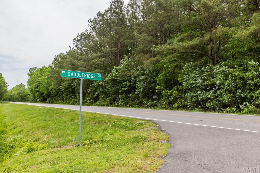 2.4 AC Old Swamp Road - Photo 1