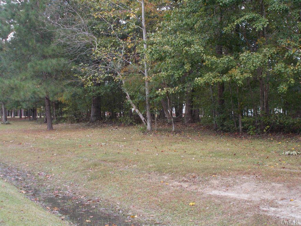 239 See View Drive - Photo 1