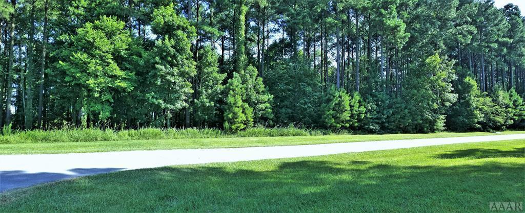 109 Indian Town Creek Drive - Photo 1