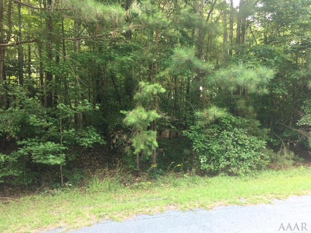 TBD Potecasi Creek Court - Photo 1