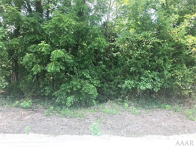 1531 Early Station Road - Photo 1