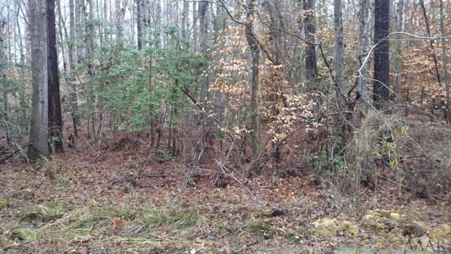 N/A Potecasi Creek Road - Photo 1