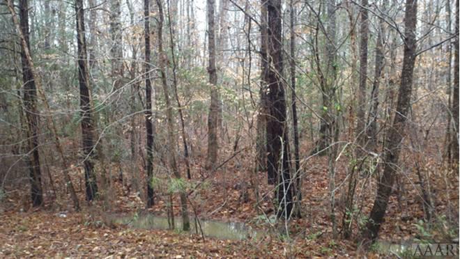 N/A Potecasi Creek Road - Photo 1