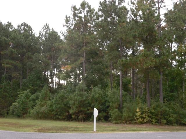 TBD Boshers Point Dr - Photo 1