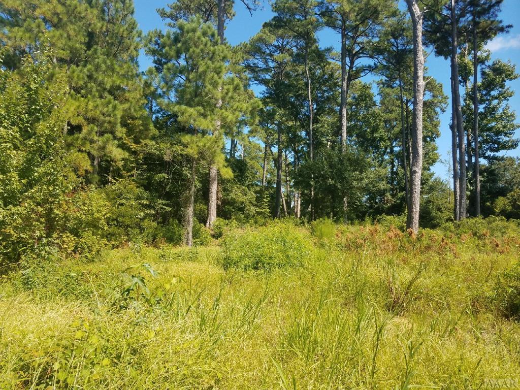 4217 Ivy Lane - Photo 1