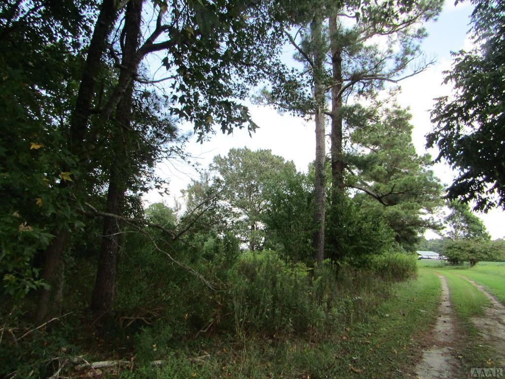 000 Shipyard Road - Photo 1