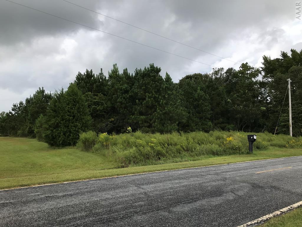 246 Lees Mill Road - Photo 1