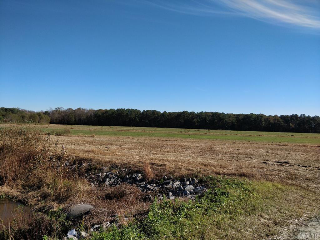 00000 Halstead Blvd Extd - Photo 1
