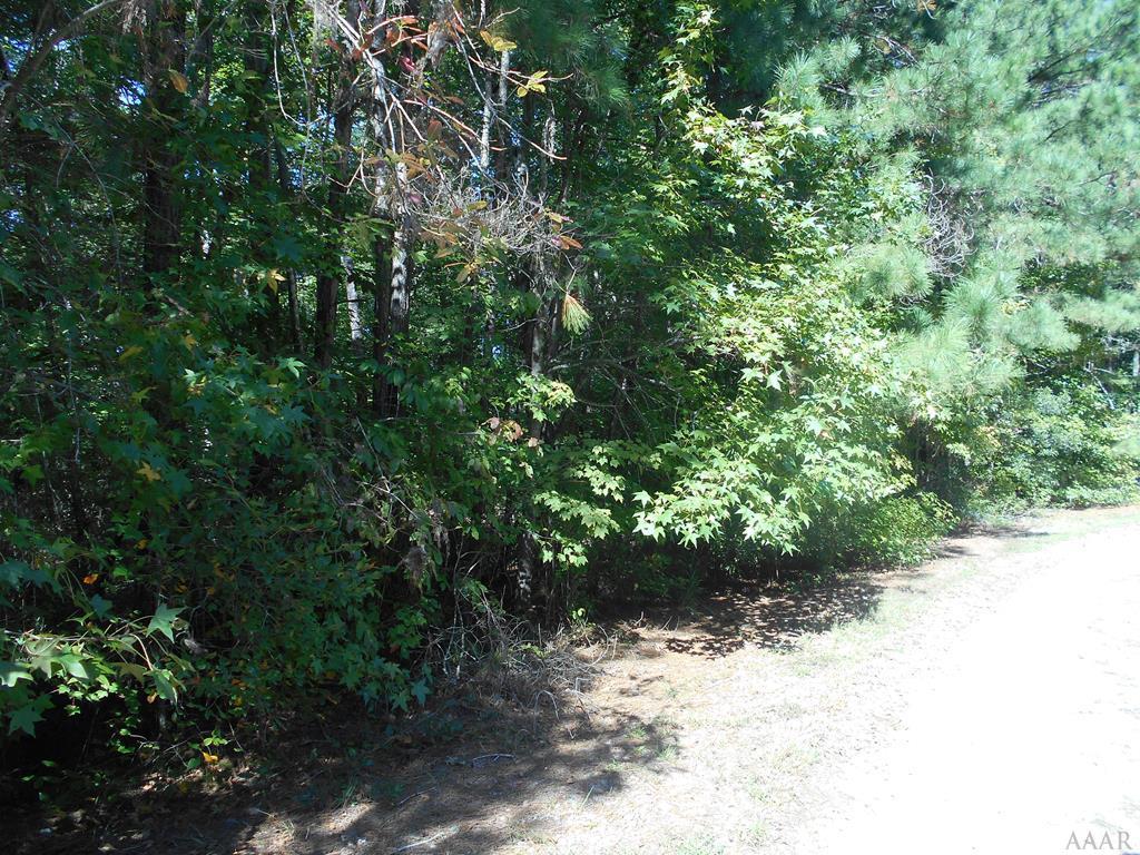 0000 Neck Road - Photo 1