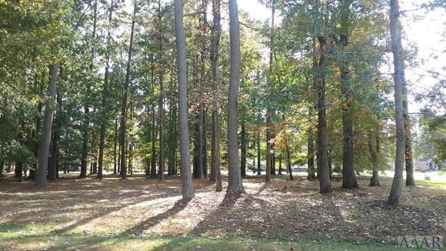 TBD Chatooga Court East - Photo 1