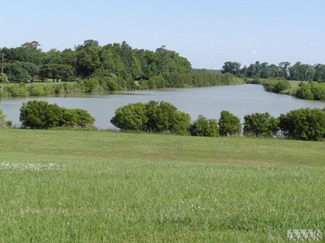 Lot 12 Blue Heron Blvd - Photo 1