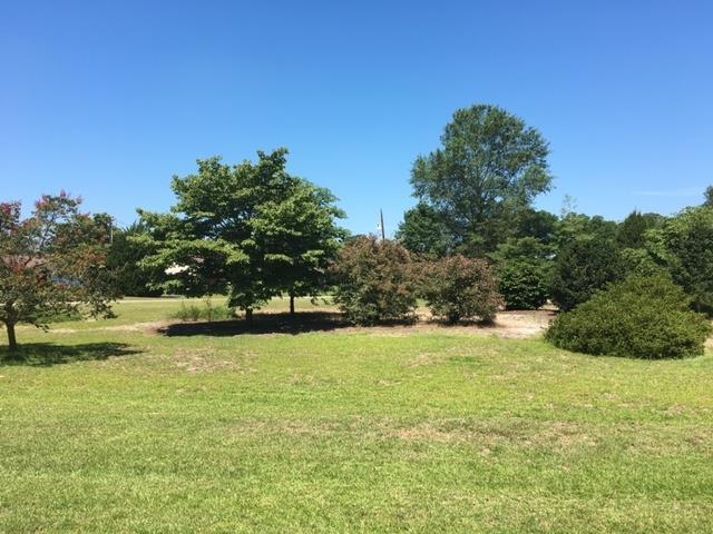 124 Creek Trail - Photo 1