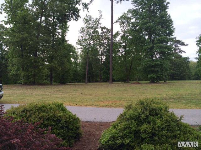 207 Deer Path Trail - Photo 1