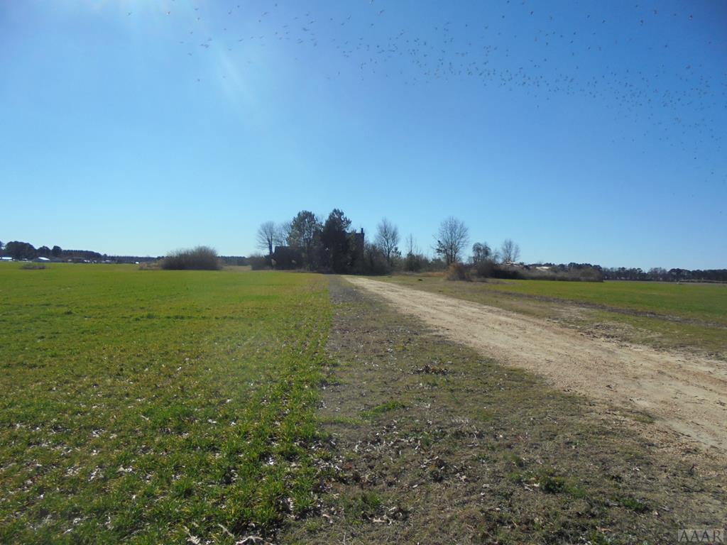 TBD Johnny Mitchell Road - Photo 1
