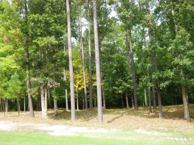 Lot 48 Bosher Point Drive - Photo 1