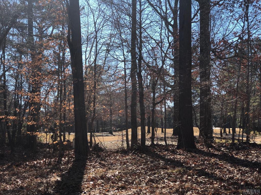 173 Roanoke Dr - Photo 1