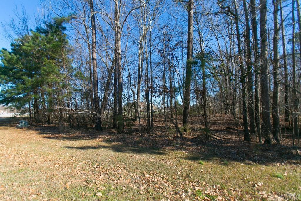 TBD Back Creek Drive - Photo 1