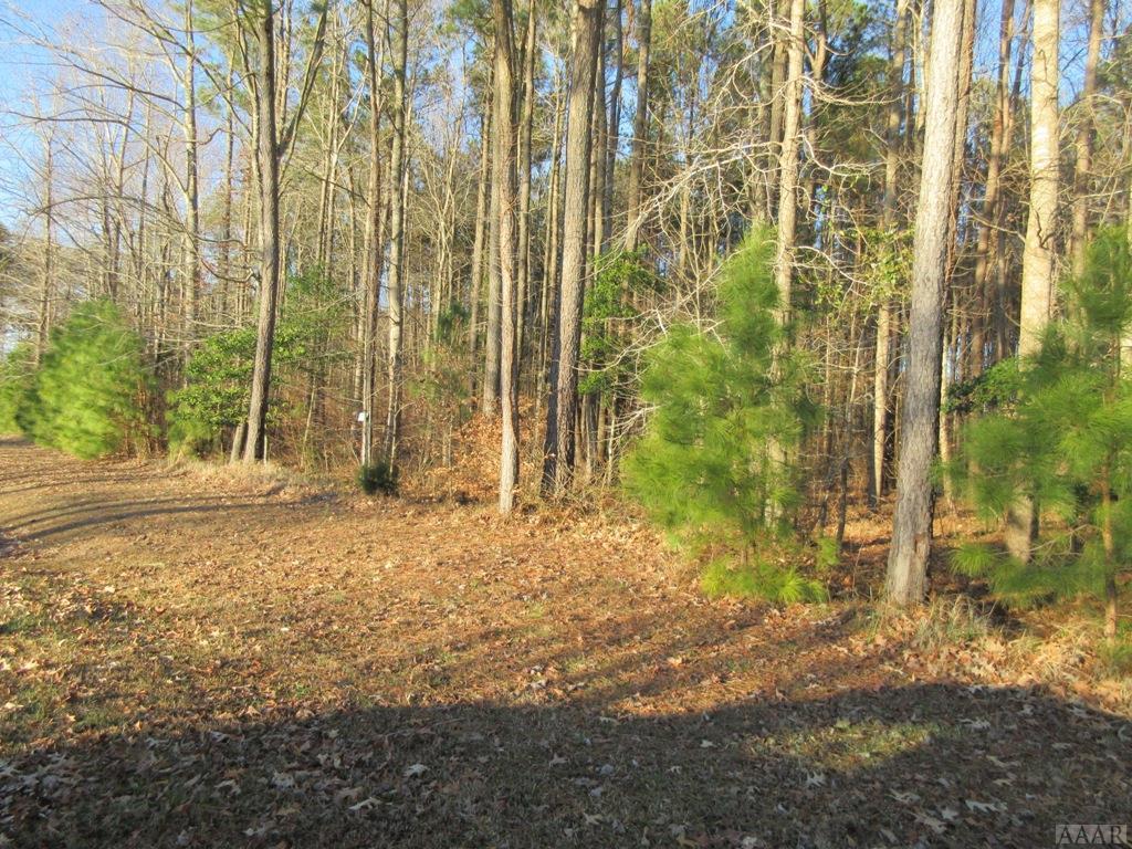 Lot 25 Suttons Landing Road - Photo 1
