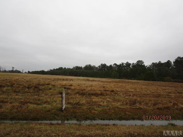 Lot 247 Willet Way - Photo 1