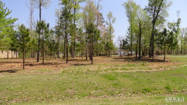 Lot 1 Beech Point Dr - Photo 1