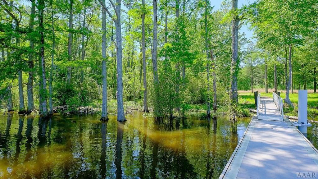 117 Colleton Circle - Photo 1